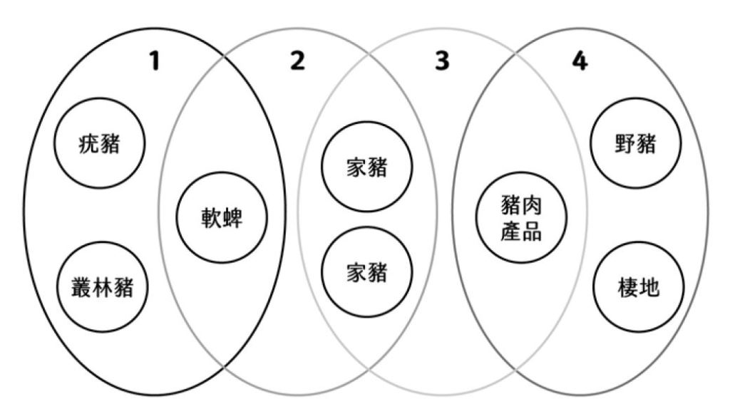 傳染了 100年，全球62國家都遭殃！沒有解藥的非洲豬瘟，到底是怎麼開始的？