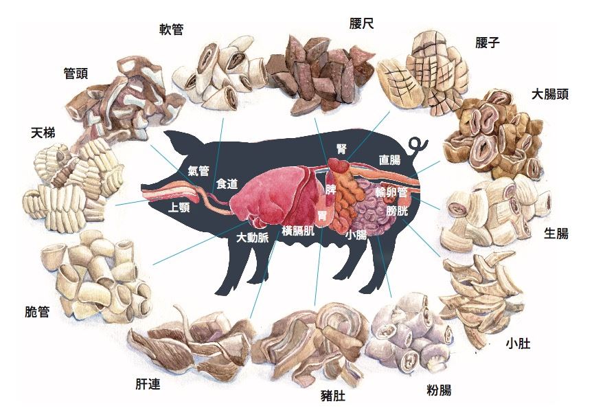 图一:在小吃摊中常见的各种料理与猪身上所对应的各器官(徐维骏绘制)