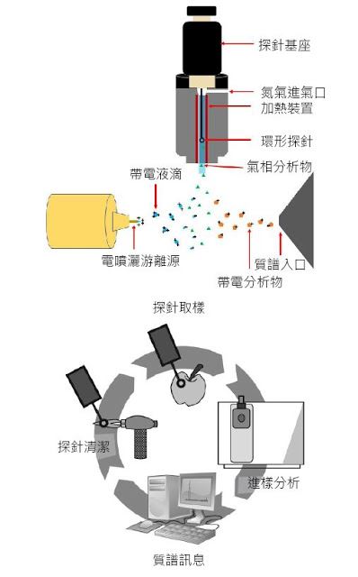 快速檢測毒藥物的大氣質譜系統 