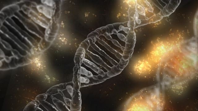 美國研究團隊發現暗物質DNA會影響大腦發育 