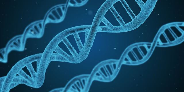 美國FDA諮詢委員會支持基因治療首例基因治療可望核准上市