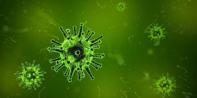 H7N9基因突變使病毒容易傳染人類 