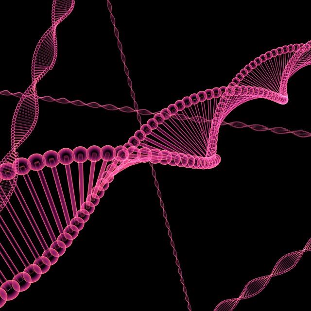 CRISPR／Cas9技術專利權的戰爭 