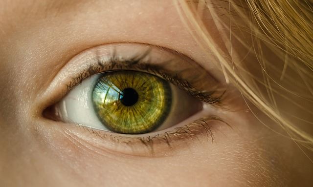 電腦認知計算能力能有效診斷早期青光眼 