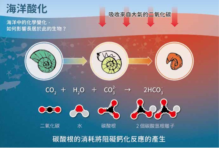 海洋酸化從頭說起－ 一起來算海洋的酸化程度