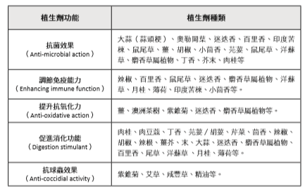 安全畜產品生產—肉雞vs雞蛋