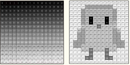 科學影像的處理與分析②─活用ImageJ軟體