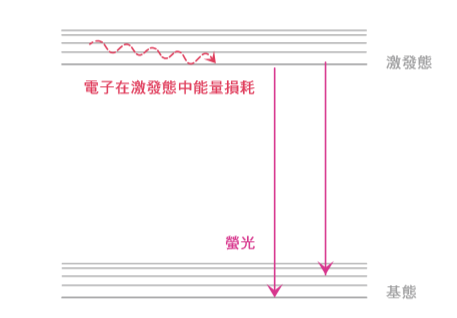 生活中無所不在的螢光