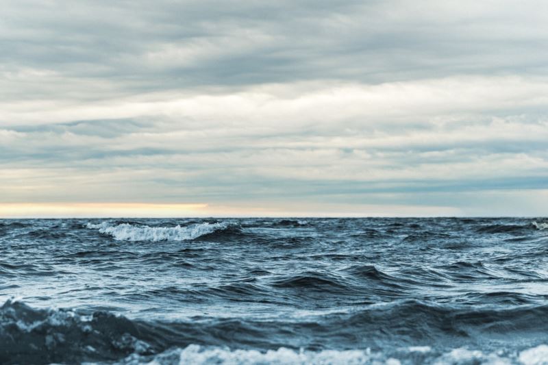 離岸風力發電開發前 海洋基礎生產力如何隨季節變化？