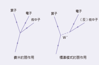 微中子的故事 