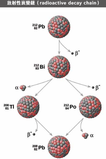 岩石啊，請問今年貴庚？ 從元素半衰期談放射性定年法