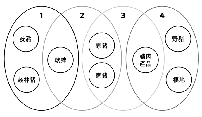 非洲豬瘟席捲全球，臺灣如何險中求生？