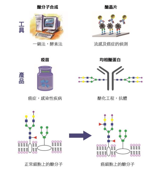 中研院基因體中心吳宗益—醣類疫苗與晶片實驗室 