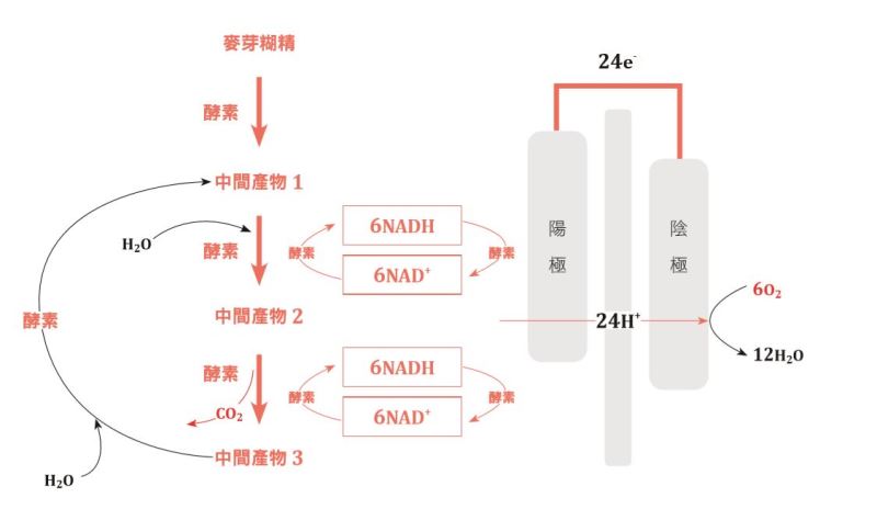 更強更耐久的電池