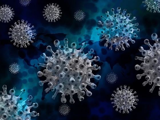 國衛院選定DNA疫苗平台作為新冠病毒疫苗開發主軸