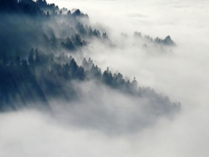 霧霾迷濛中的大氣物理與化學