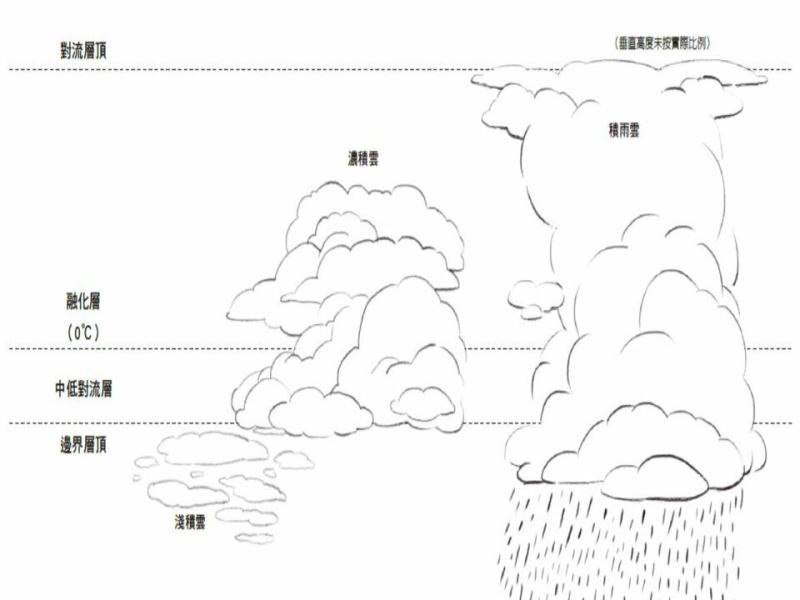 收集水氣的濃積雲