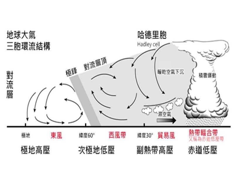 極地渦旋的驚心「凍」魄 