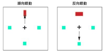 腦神經解密「注意！」與「別衝動！」— 中央大學認知所阮啟弘教授專訪