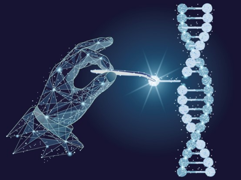 開發基因編輯技術CRISPR作為食品與醫藥的篩檢工具