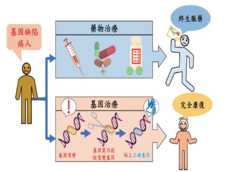 再生醫學技術大躍進－加入CRISPR技術，遺傳性疾病療效大提升