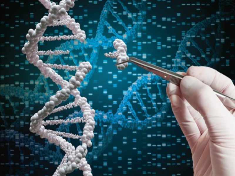 基因編輯技術CRISPR的前瞻應用