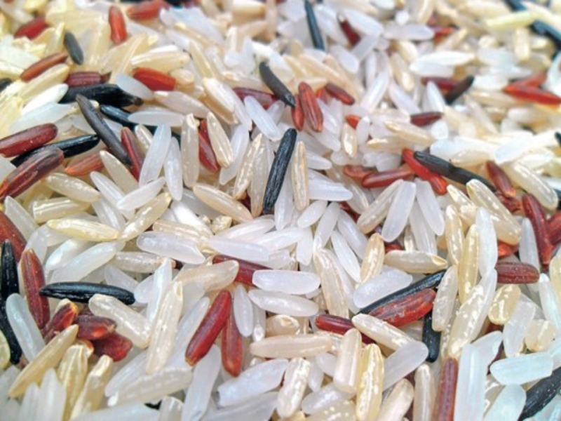 一樣米養百樣人， 而臺灣竟有千樣米？
