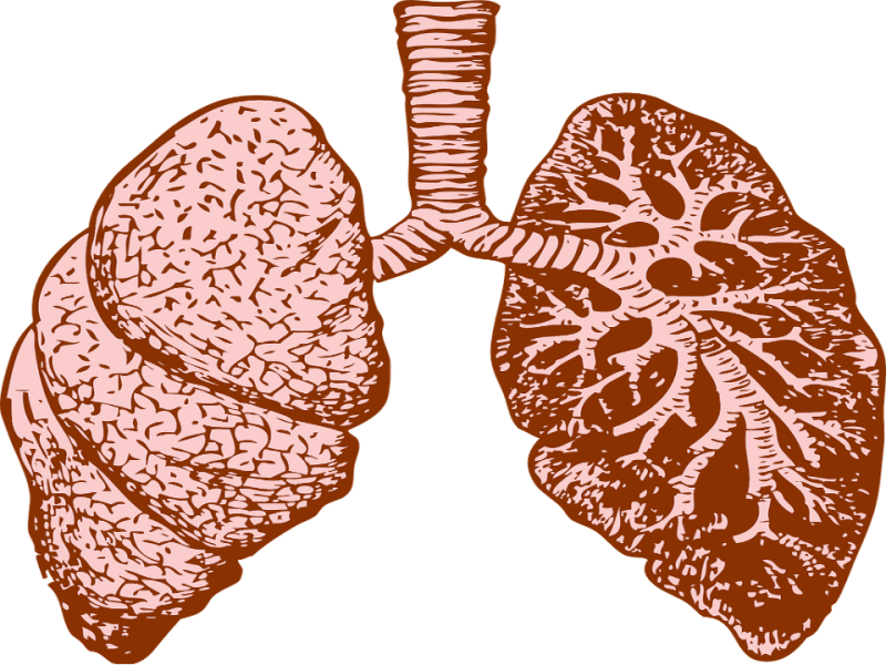體外培養肺癌幹細胞 提高病患存活率