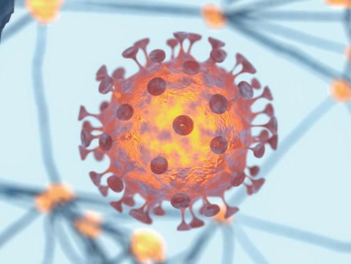 COVID-19病毒蛋白能穿越血腦障壁，很可能會感染腦部