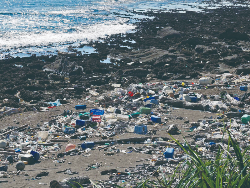 便利的塑膠年代、反撲的海廢危機