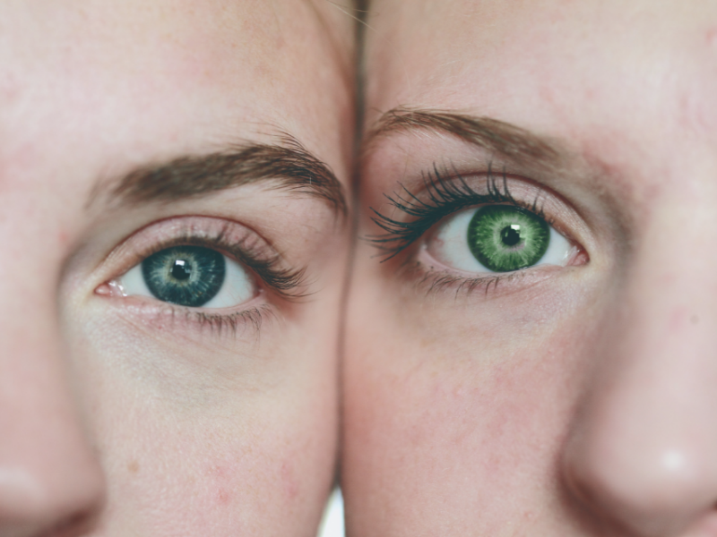 是什麼決定了我們眼睛的顏色？ 
