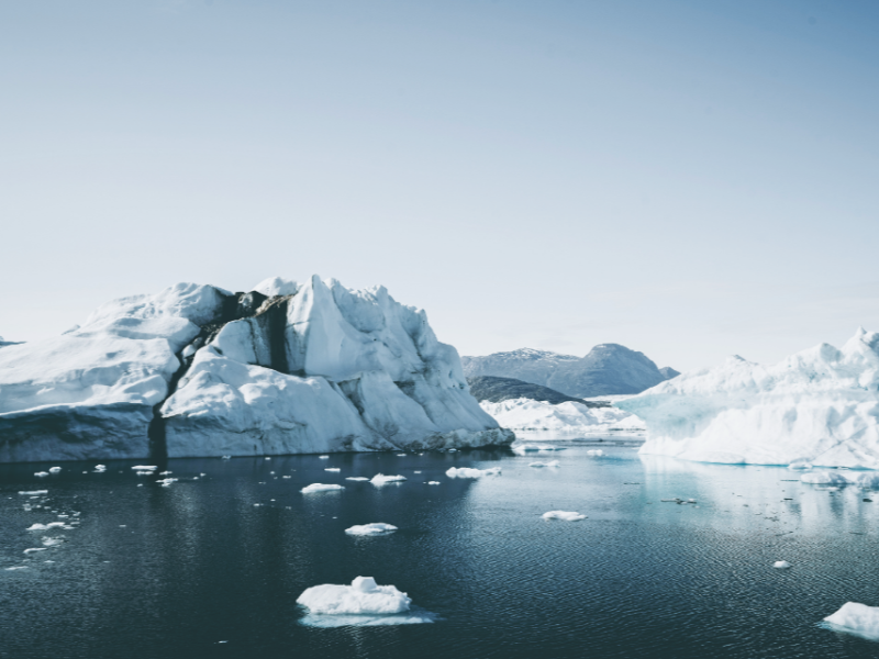 深達一公里的格陵蘭島冰層下，居然有著植物化石？
