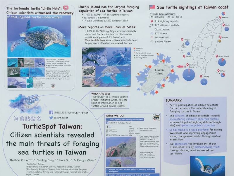 透過公民科學了解海龜面臨的威脅