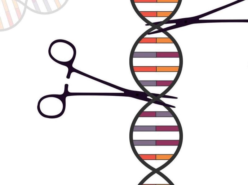 基因編輯技術CRISPR在藥物開發及疾病治療上的應用