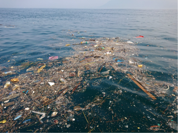 海洋垃圾退散！海洋大學海資所邱靖淳專訪