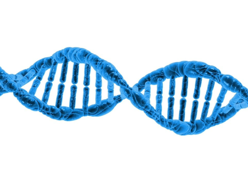 從分子生物學的定義談起