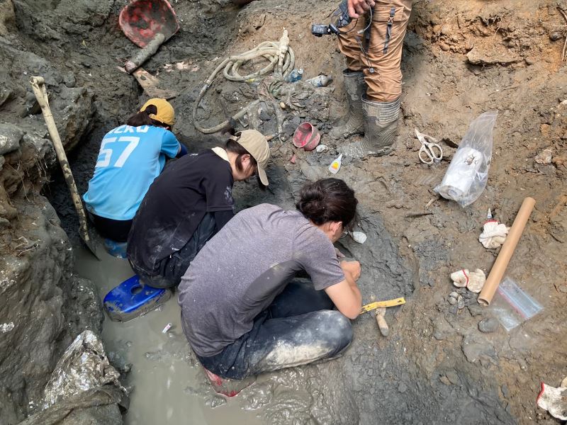 來自恆春的意外「鯨」喜 －科博館臺灣鯨魚化石挖掘團隊專訪
