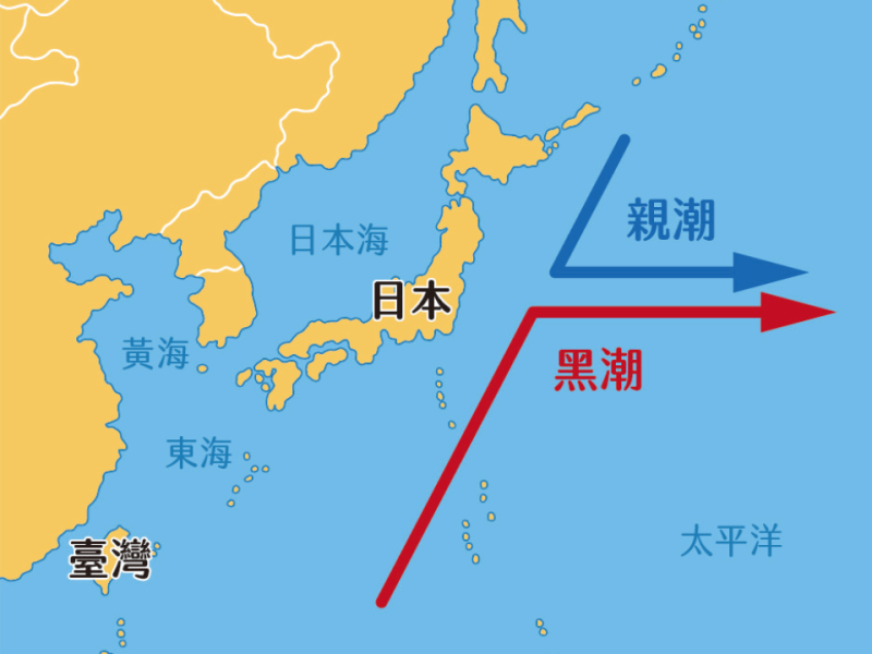 黑潮內殘留的「銫－ 137」 會對人體造成危害嗎？