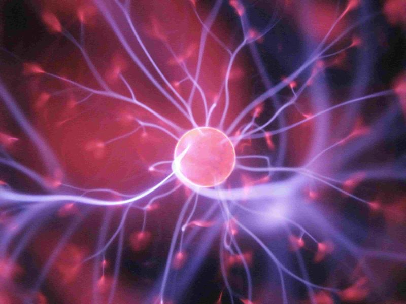 看見、聽見生物中的「電」 Backyard Brains帶你認識生物的電訊號