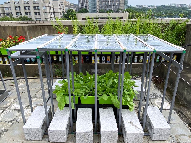 陽明交大開發DIYGreen屋頂農園 打造出節能減碳的環保屋頂