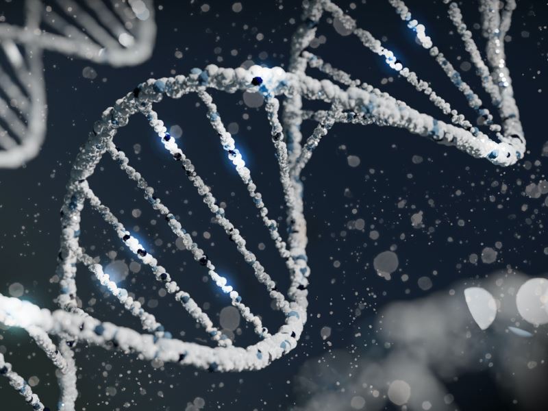 CRISPR-Cas9基因編輯技術新警告