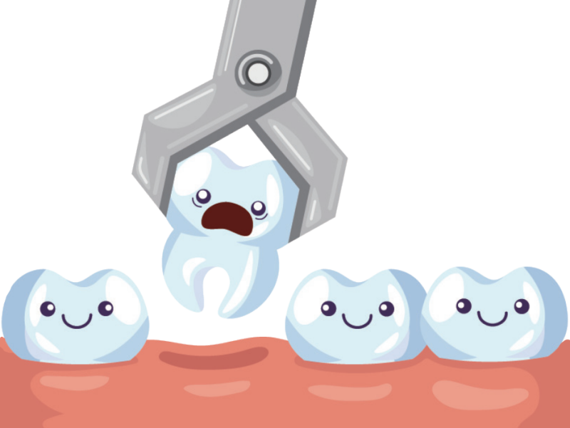 拿別人的牙齒做假牙？八個有關牙齒與牙醫師的冷知識！