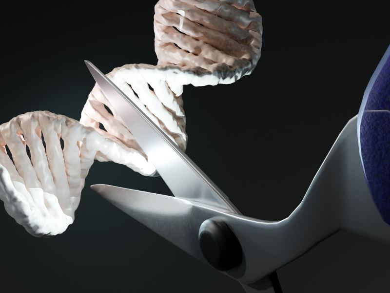 英國拔頭籌 CRISPR療法首次被批准用於治療遺傳性疾病