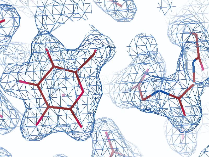 蛋白質的微觀世界 看見分子結構與生命的運作