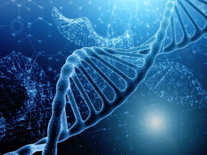全球最大基因庫再升級 英國生物銀行釋出50萬人完整基因序列
