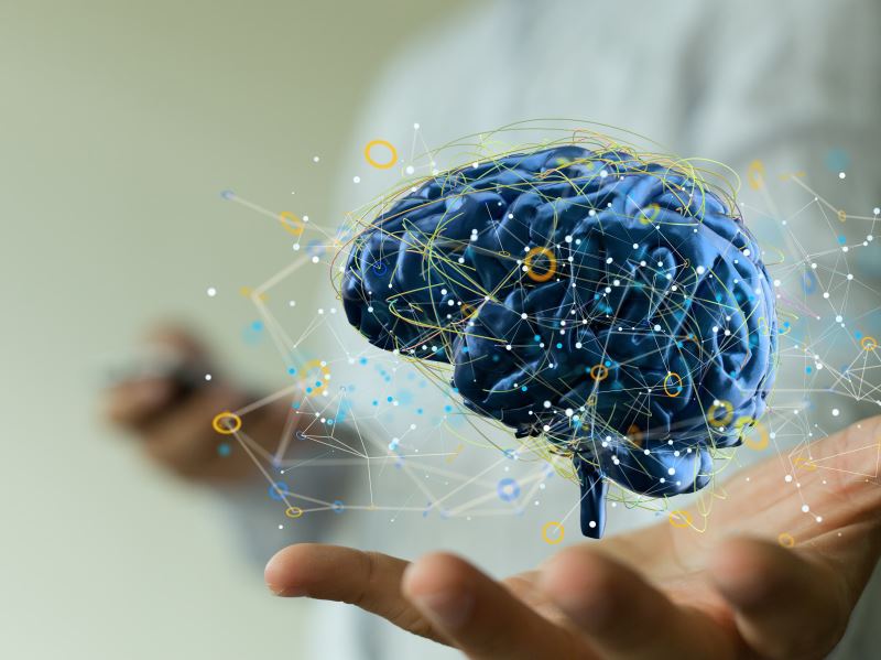 長庚大學發表果蠅大腦管理記憶的機制 提供理解記憶的重要線索