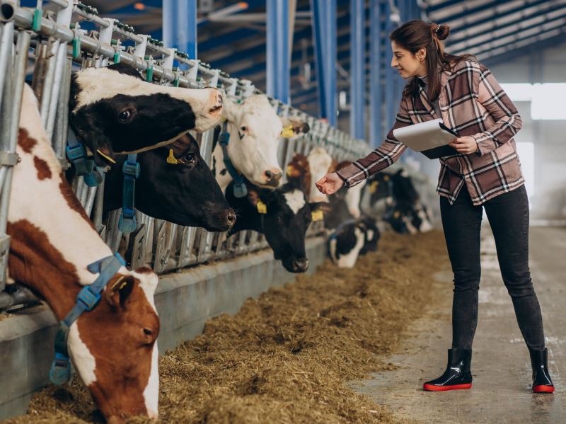 工研院推出智慧餵飼機、清糞機器人與乳牛聲紋辨識聯手產試所邁向綠色農業
