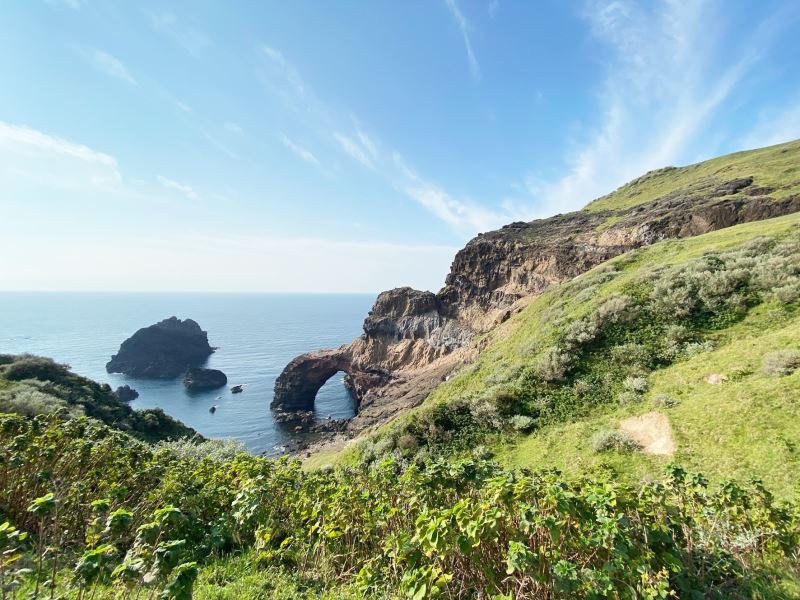 孤立火山島讓科學家一窺演化初期事件 