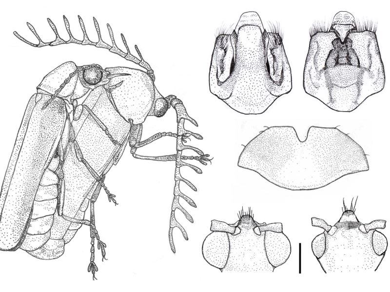 生物學家的必修課 點線圖