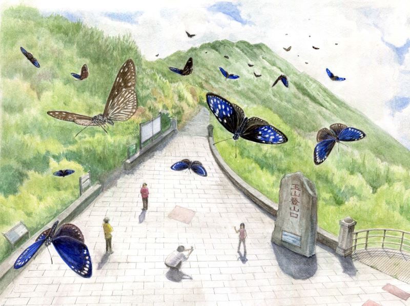 用圖像說土地的故事 地景與生態繪圖